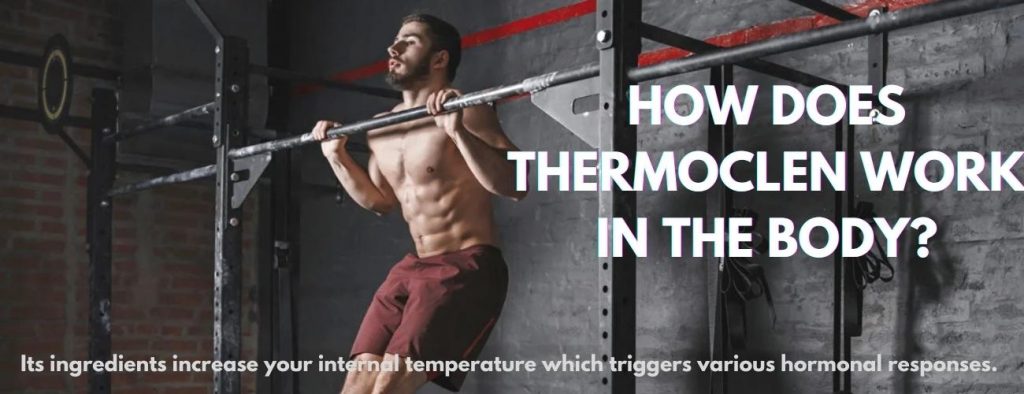 ThermoClen work in body?